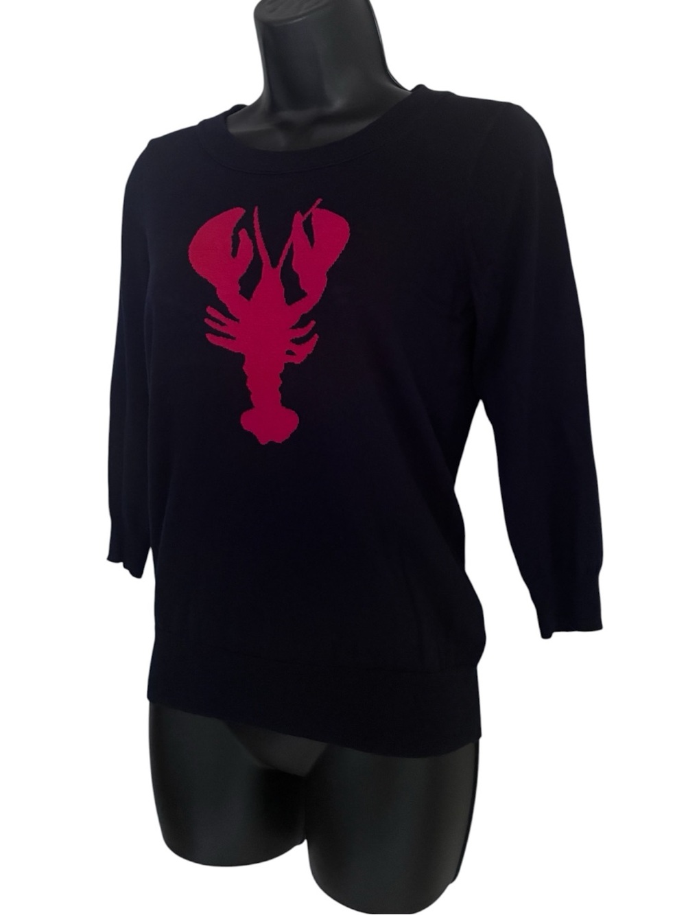 J Crew Navy Preppy Cape Cod Nautical Coastal Grandma Sweater Red Lobster Sz XS - Picture 2 of 7